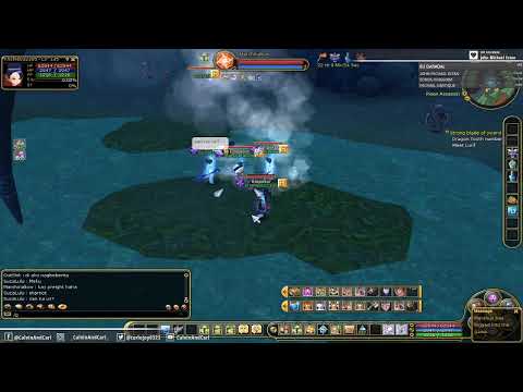 PLAYPARK FLYFF TOWER SIEGE EMPEROR GUILD