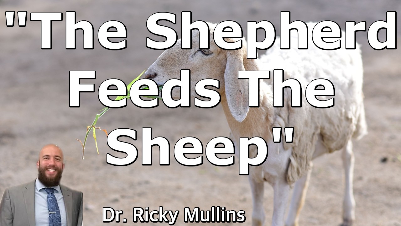 The Shepherd Feeds The Sheep