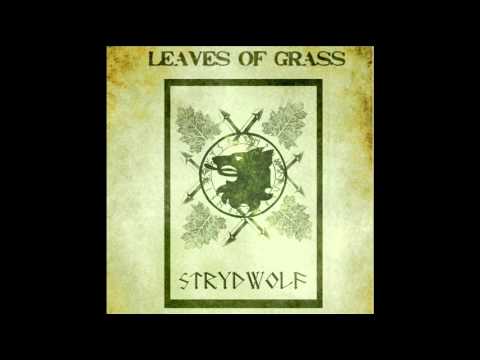 STRYDWOLF - TOD IN ÄHREN - REMAKE