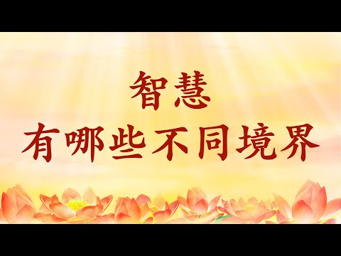 2.  恩师【节目录音+字幕】智慧有哪些不同境界《直话直说》