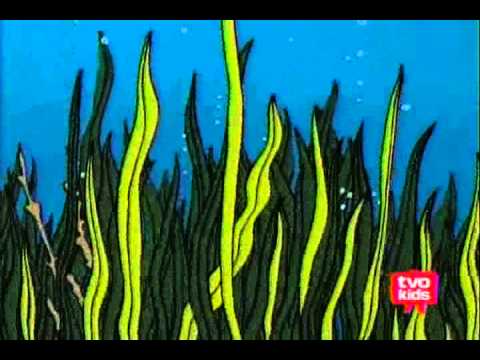 George Shrinks:22 Sunken Treasures