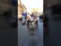 Carriage Horse Rome Italy Shorts