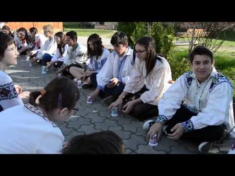 Marsul pentru viata 2014 - Arad