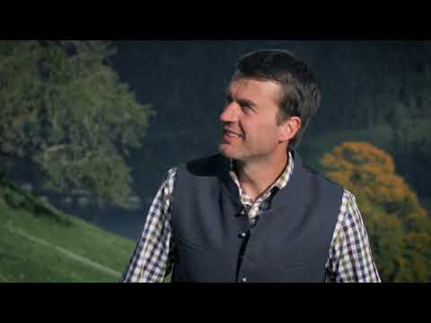 Das Pinzgauer Rind - Ein Kulturgut des Landes