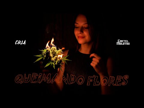 C.R.I.A Feat Coktel molotov (Queimando flores)