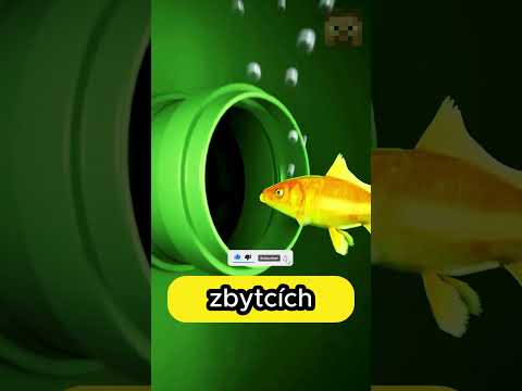 JAK MOHLA TAHLE RYBKA PŘEŽÍT 7 LET VE FILTRU 😭