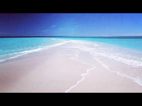 A Day In Paradise" Fiji Islands 4 HR Dynamic Pure Nature Experience