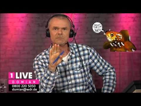 THE VINYLRAIDER FEAT. MC MF DOMIAN - A STORY ABOUT GOLDFISHES, VINYLS AND A LOT OF CRAP