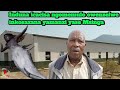 Induna Icacisa Ngomemulo Owenzelwe Inkosazana Yamanzi Yase Msinga