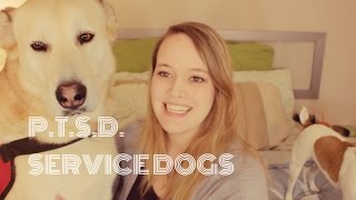SERVICEDOGS&PTSD!