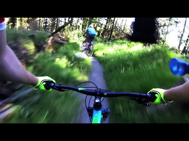  What Are You Crying For - The Shoos