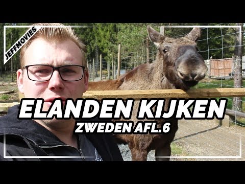 download lagu mp3 mp4 Elandenpark Zweden, download lagu Elandenpark Zweden gratis, unduh video klip Elandenpark Zweden