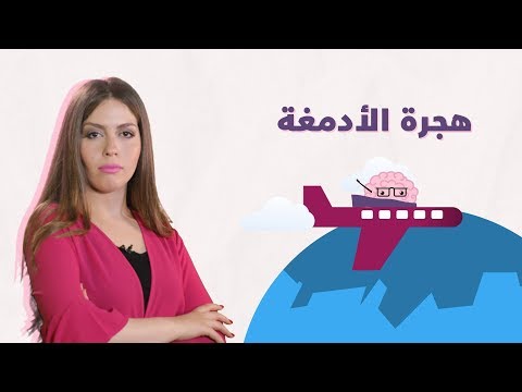 باختصار أدمغة ومؤهلات.. تغادر الوطن الأم وتغترب مع سبق الإصرار والترصد