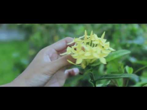 Bagaimana membuat tingtur ginseng untuk meningkatkan potensi Meningkat jika anggota dari olahraga