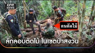 สกัดขบวนการลอบตัดไม้ในเขตป่าสงวนแห่งชาติ | ข่าวช่องวันเสาร์-อาทิตย์ | สำนักข่าววันนิวส์