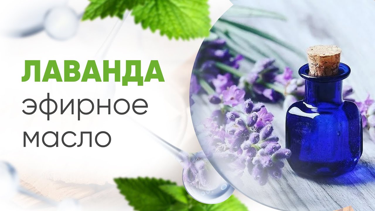 Лаванда высокогорная эфирное масло 100мл