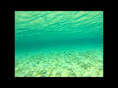 sous le soleil de polynésie romain vidéo