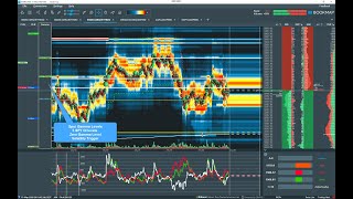 Bookmap and SpotGamma - How to utilize option gamma with Bookmap for profitable trading?