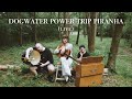 moony - DOGWATER POWER TRIP PIRANHA - soft boy summer version (live)