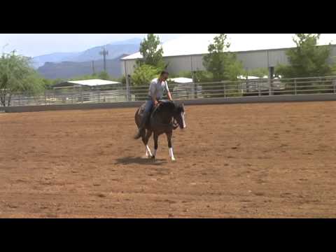 Diamonds On My Mind 2011_08_13_11_05_20.avi