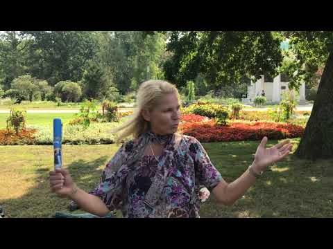 Mit Herz und Verstand