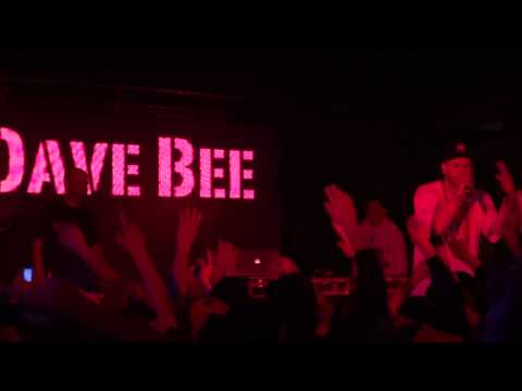 dave bee en chile 2011 - otro nivel