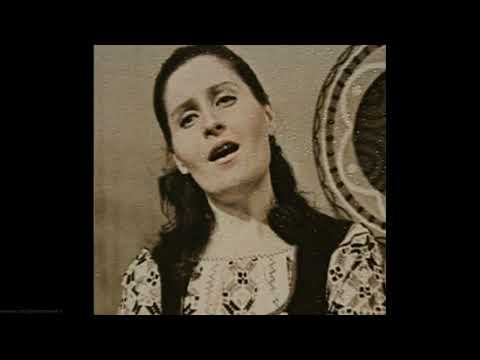 Nina Ermurachi - Regret, că berzele se duc (1976)