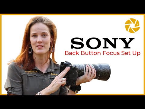 Sony Dual Back Button Focus Settings