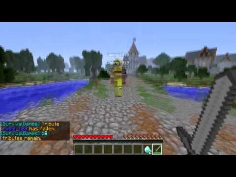 Minecraft - Hunger Games ' QDenglers Pet ToTo '
