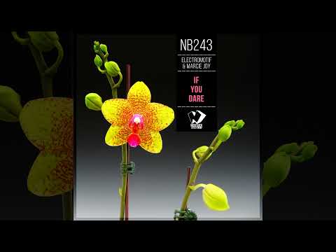Electromotif & Marcie Joy - If You Dare (Original Mix)