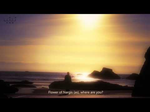 Flower of Nargis - Nasheed Imam Mahdi (as)