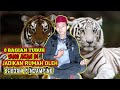 TONTON INI Bagian Tubuh Manusia Yang Di Jadikan Rumah Oleh Khodam Pendamping