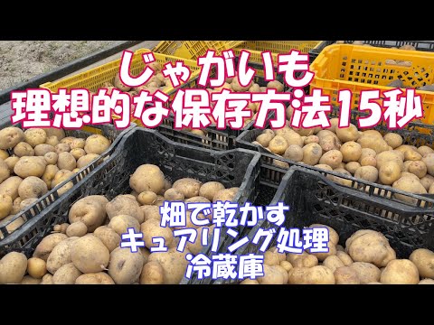 園芸 収穫物の保存方法