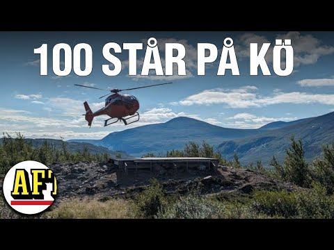 Här evakueras magsjuka från Kebnekaise