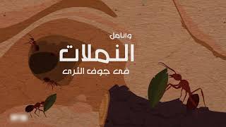 كلمات اغنية يا من يرى مشاري راشد العفاسي
