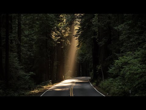 Ranta, Albept - Akwaaba [Organic House]