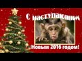 С наступающим новым 2016 годом! Год красной огненной обезьяны! 