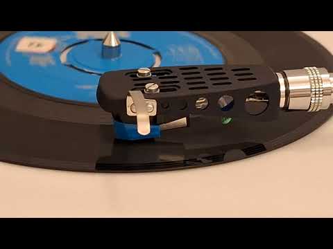 stereo Terry Dactyl and the Dinosaurs - Sea Side Shuffle