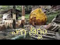 NAGATEERTHAM TIRUMAL నాగతీర్థం తిరుమల