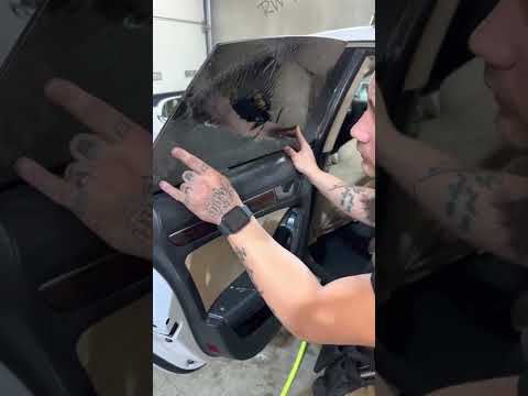 Scheibentönung lernen 🔥  Audi A5 Rahmenlose Scheiben selber folieren ✨ Bei RW-Folierung