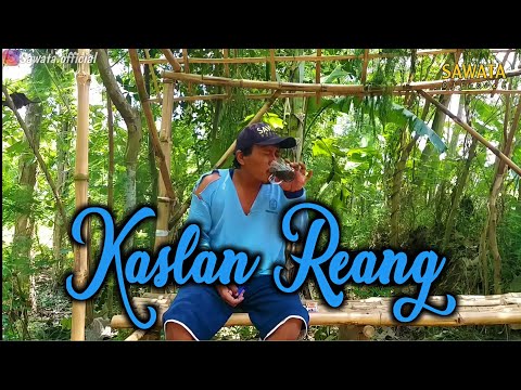 kaslan-reang-cucuke