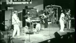 bonzo dog doo dah band - you done my brain in
