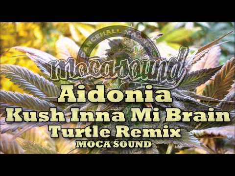 Aidonia - Kush Inna Mi Brain (Turtle Remix) MOCA SOUND