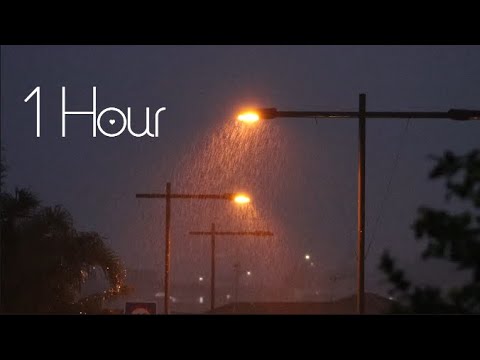 Ark patrol - Let go + Rain Sounds (Slowed & Reverb) 1 Hour Loop