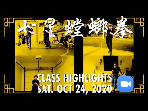 7 Star Praying Mantis Online Training [Class Recap] October 24, 2020