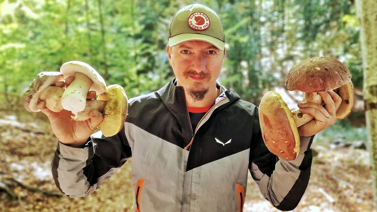 CULEG HRIBI ȘI MĂ ÎNTÂLNESC CU ZIMBRII - s4e39