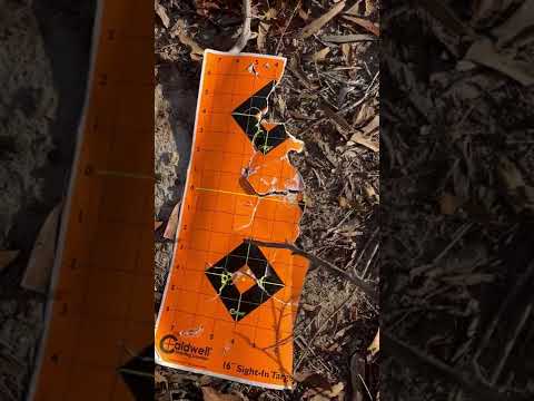 Steve Hornady shares the technology behind the ELD-X bullet (Review)