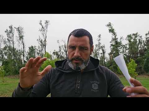 Top 10 teorija zavjere - komentar