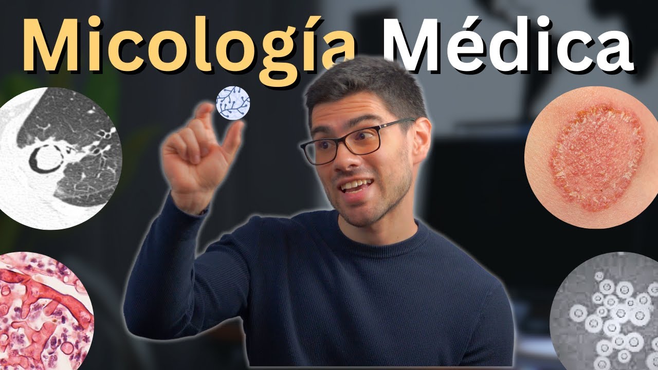 Introducción a los Hongos | Curso Micología Médica