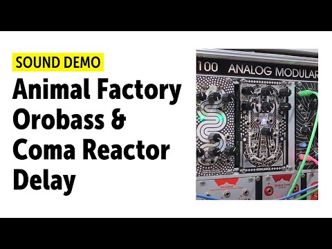 Animal Factory Orobass & Coma Reactor Delay